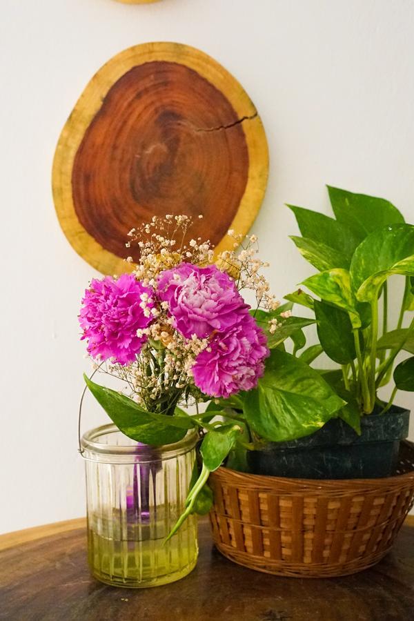 Cinco Hotel B&B ซานซัลวาดอร์ ภายนอก รูปภาพ